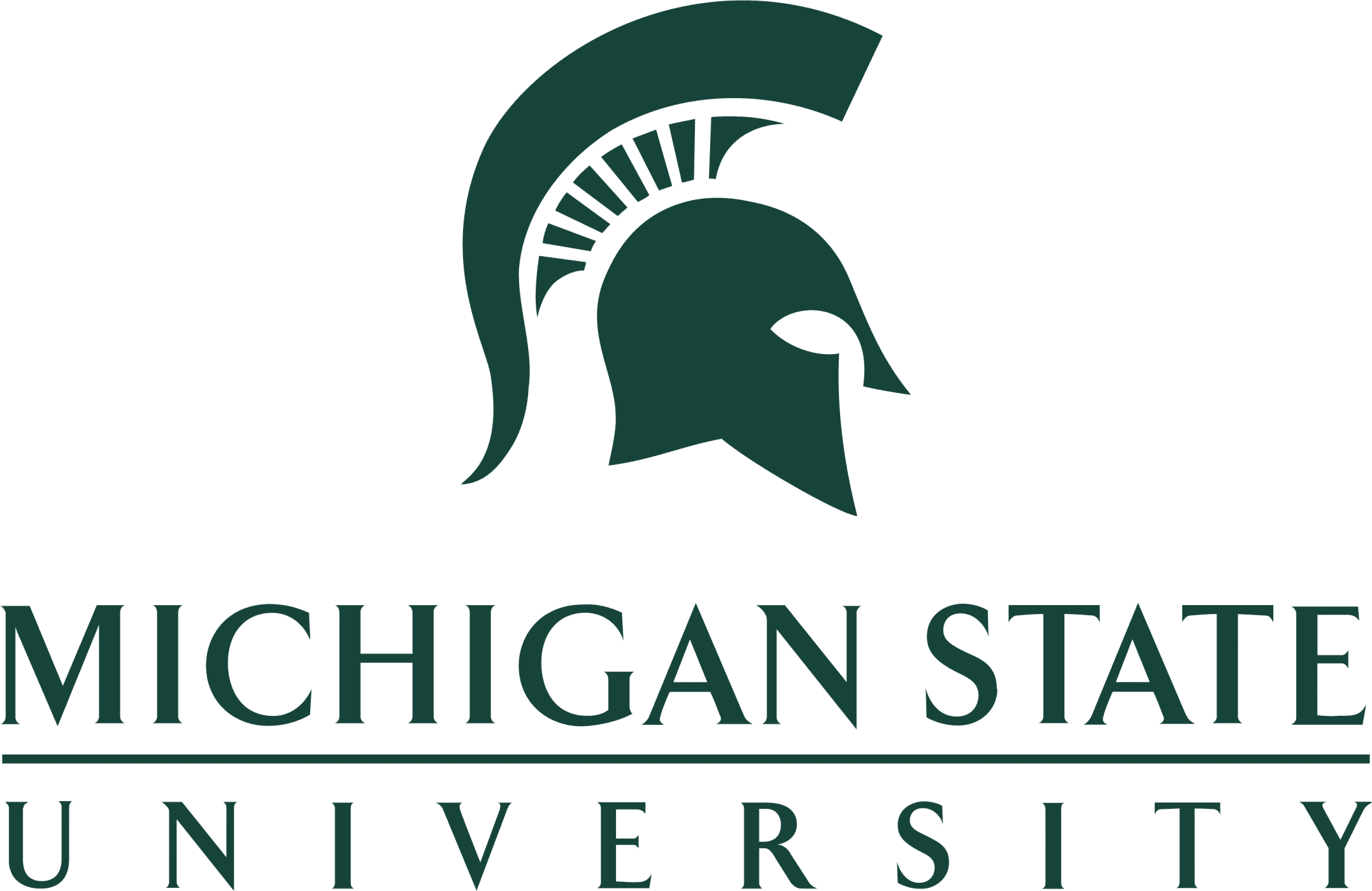 Michigan State University